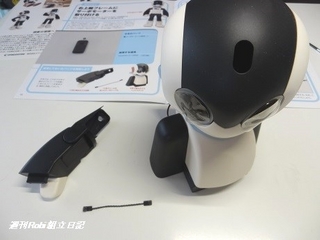 Robi11画像05.jpg